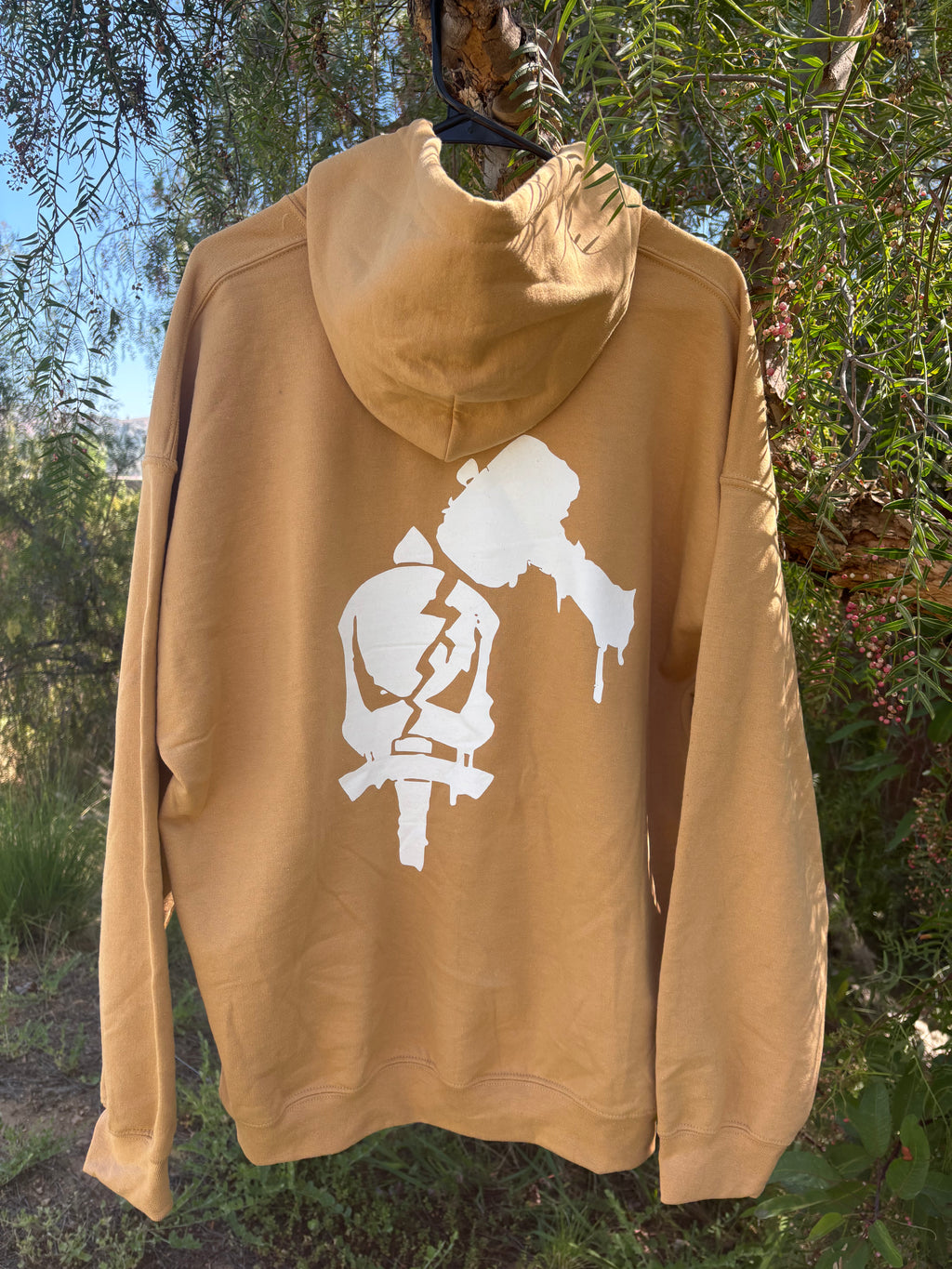 Jak Champions embroidered hoodie