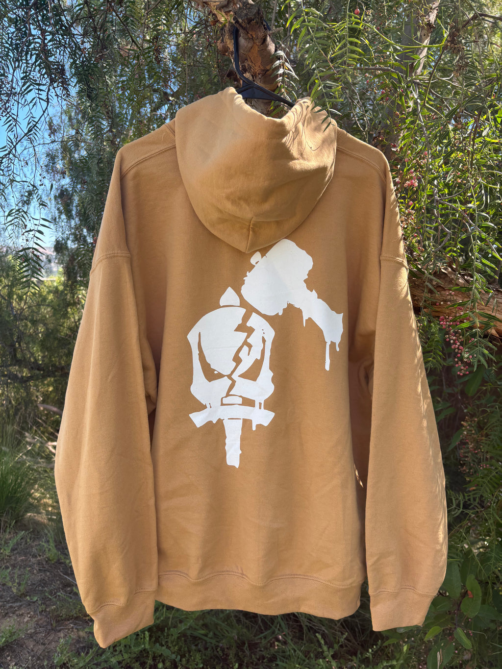 Jak Champions embroidered hoodie
